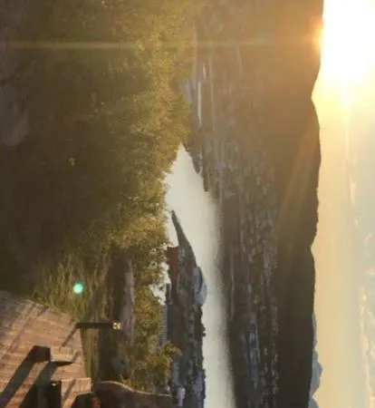 فيلة Panorama *