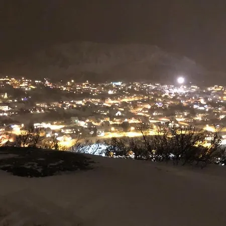 فيلة Panorama